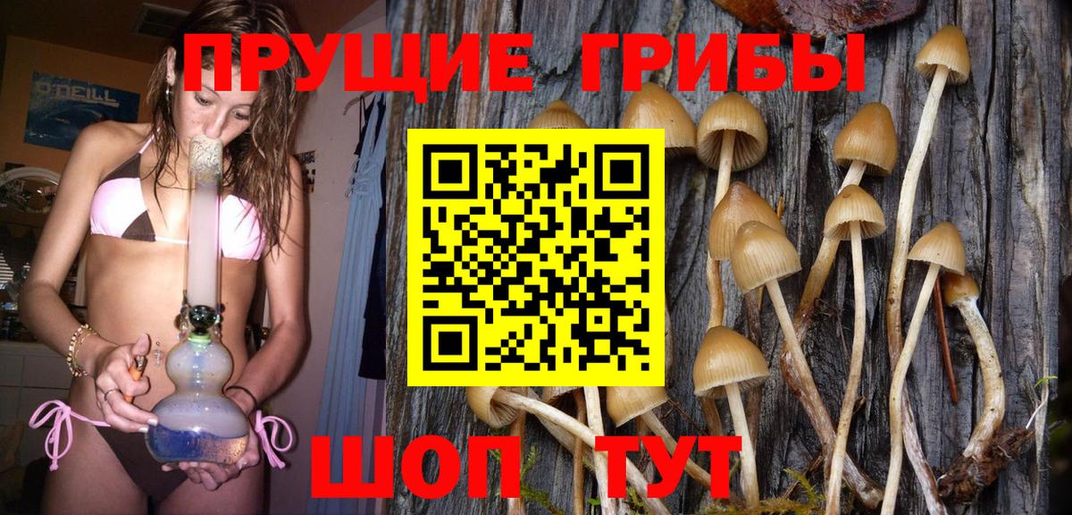 Псилоцибиновые грибы мухоморы Красный Сулин